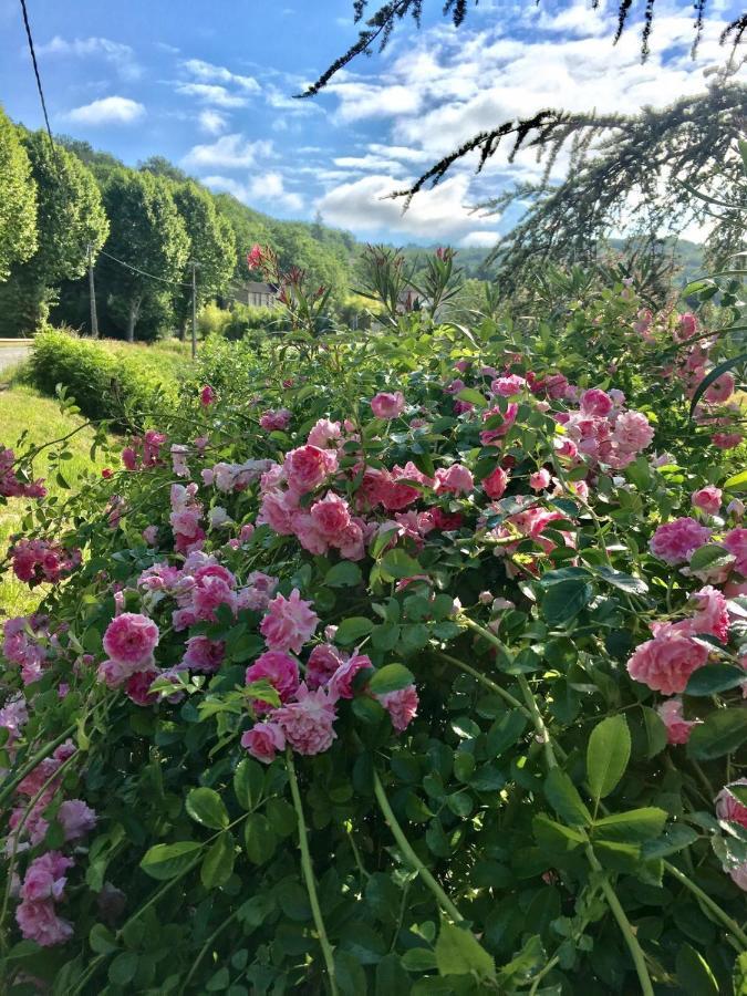 La Provencale B&B Duravel Zewnętrze zdjęcie