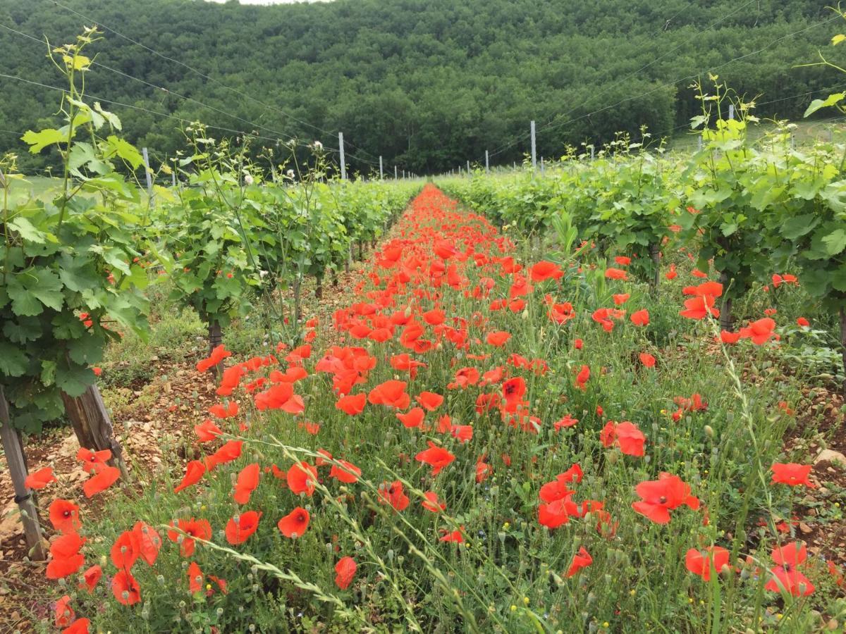 La Provencale B&B Duravel Zewnętrze zdjęcie